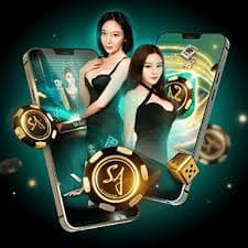56d bet app