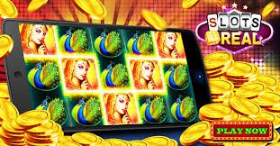 56d bet app
