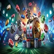 56d bet app